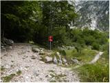 Zadnjica - Veliko Špičje